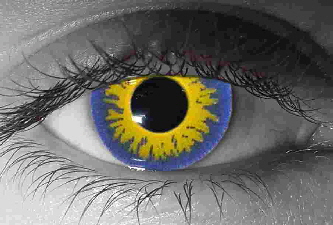 eye