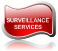 fs1 SURVEIL